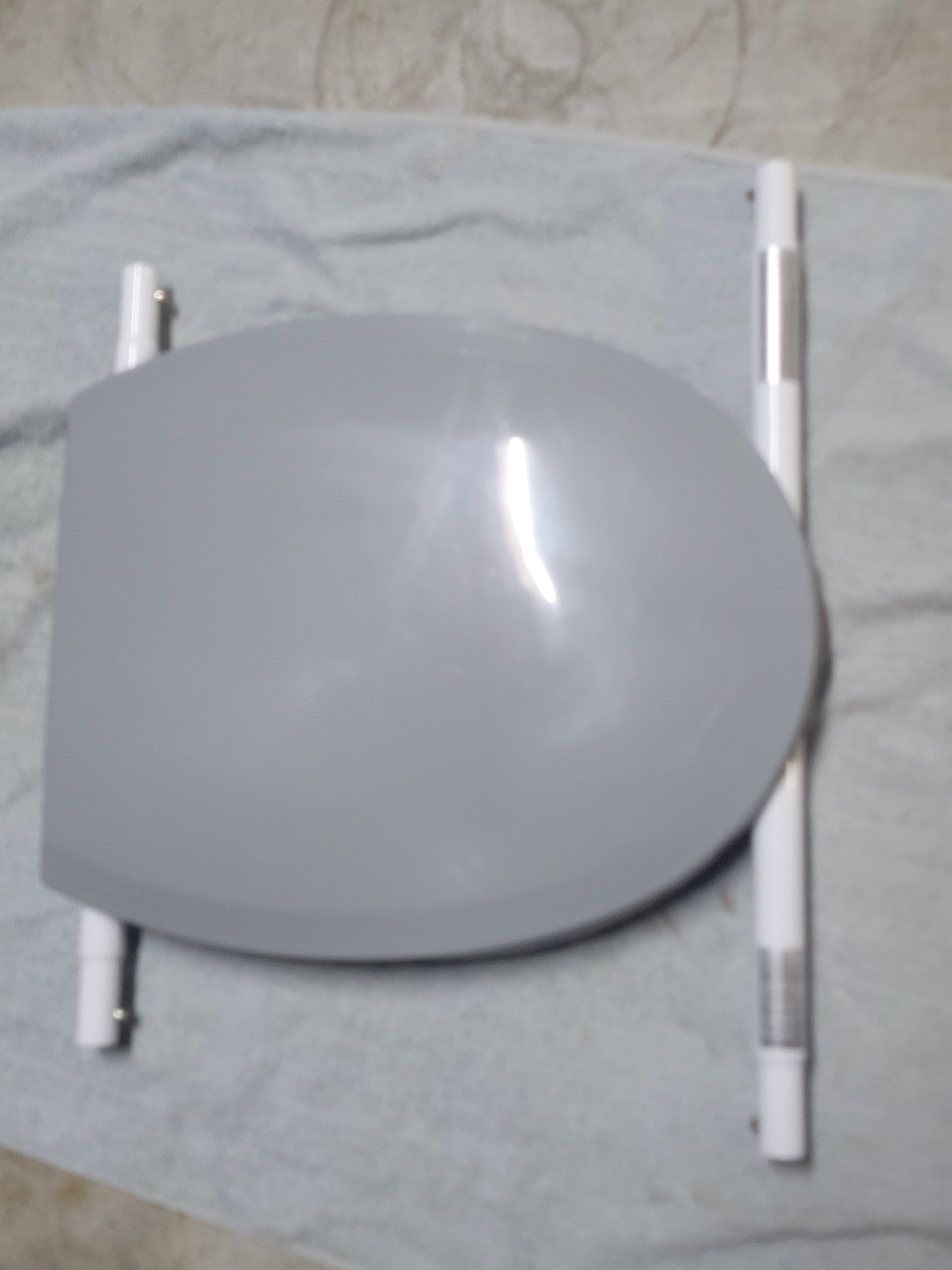 Assistive Toilet Seat